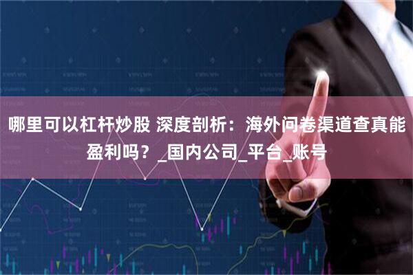 哪里可以杠杆炒股 深度剖析：海外问卷渠道查真能盈利吗？_国内公司_平台_账号