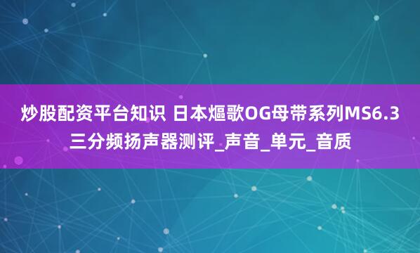 炒股配资平台知识 日本熰歌OG母带系列MS6.3三分频扬声器测评_声音_单元_音质