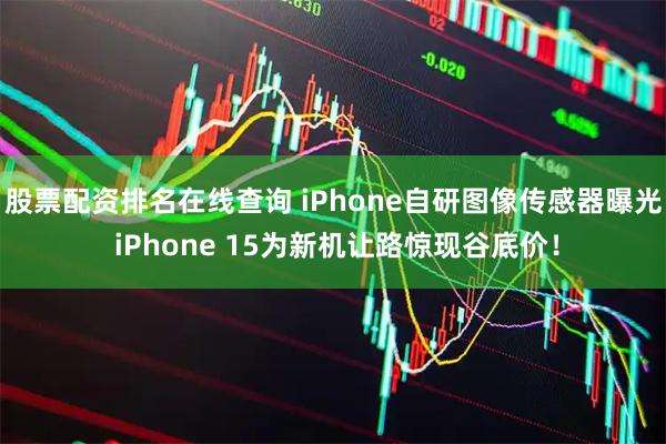 股票配资排名在线查询 iPhone自研图像传感器曝光 iPhone 15为新机让路惊现谷底价！